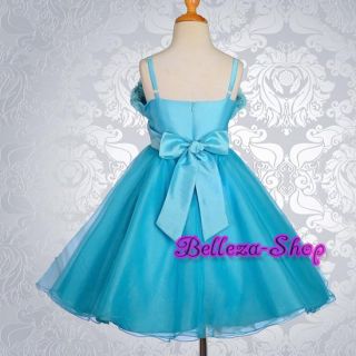 Blue Wedding Flower Girl Pageant Party Dress Sz 8 9