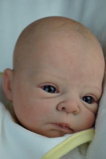 Bespoke Babies Sammie Adrie Stoete Reborn Anatomically Correct Baby Boy