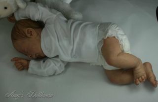 Amy's Dollhouse Lifelike Reborn Baby E Marx"Edley" MRMH A C Tummy Plate