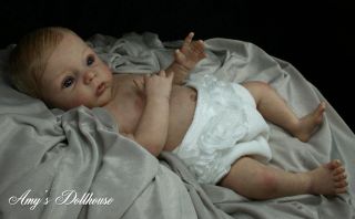 Amy's Dollhouse Lifelike Reborn Baby G Legler"Livia" MRMH A C Torso Plate