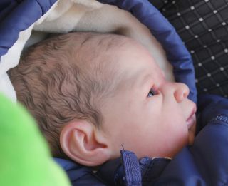 Beautiful Reborn Baby Boy Doll Judith Sam's Reborn Nursery Limited Edition