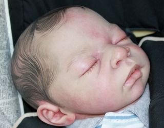 Beautiful Reborn Newborn Baby Boy Doll 'Samuel' Sculpted by Petra Lechner