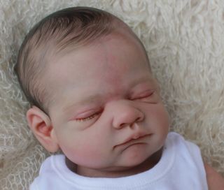 Beautiful Reborn Newborn Baby Boy Doll "Gus" Sculpted by Tina Kewy