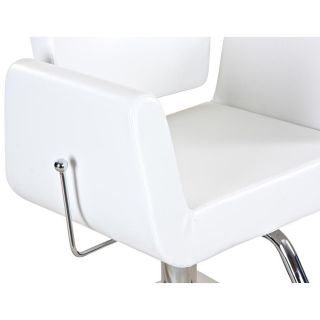 European Hepburn Reclining Salon Styling Chair SC 34x