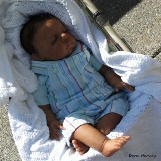 Doves Nursery ♥ Realistic Newborn Ethnic Reborn Baby Boy ♥ A Pat Moulton Sculpt