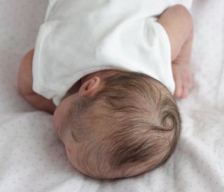 Prototype Quinlynn Laura Lee Eagles Newborn Reborn Baby Doll Iiora Collii
