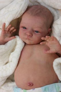 Babymine Nursery Letha Mellman Reborn Newborn Baby Girl Will Natalie Scholl Le