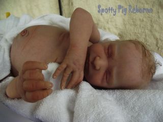 Reborn Baby Boy Reece from Andrea Arcello Sculpt Doll