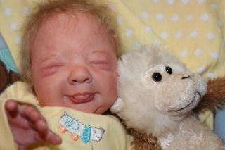Reborn Newborn Baby Doll Trinny Jessica Schenk