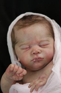 Newborn Reborn Baby Girl Doll Jayden by Natalie Scholl LD Sold Out Kit