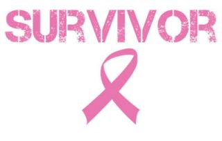 Breast Cancer Awareness Ribbon Survivor Hoody Hoodie