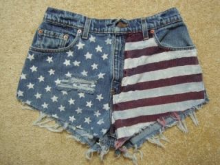 American Flag Hand Painted High Waist Levis Cut Off Shorts Size 29