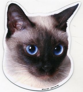 Siamese Cat Head Car Magnet