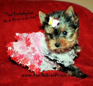 XS Redbow Flower Dress 1 Free Bow Yorkie Dog Puppy Dress Chihuahua Maltese