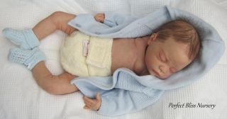 Reborn Doll Newborn Baby Boy Linda Murray "Jo" New Anatomically Correct Torso