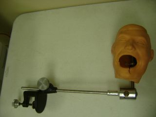 Columbia Dentoform Dental Simulation Manikin Head Training Simulator Bench Mount