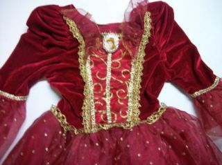 Belle Beauty Beast Costume Christmas Princess Dress 4 6