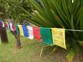 Medicine Buddha Prayer Flags 15 Flags Set from Nepal