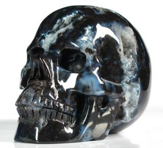 Geode Black Zebra Agate Carved Crystal Skull Realistic Crystal Healing