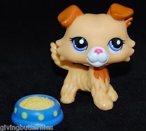 Littlest Pet Shop 2452 ✿ LPS ✿ Golden Collie Puppy Dog Food Accessories ✿ Lot