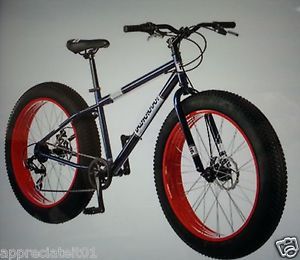 Fat Tire Bicycle 7 Speeds Dual Disc Brakes Sand Snow Mountain 4 25" Tires