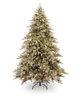 7.5 ft. Snowy Concolor Fir Hinged Pre Lit Christmas Tree with Snowy Pine Cones   Christmas Trees