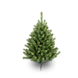 3 ft. Eastern Spruce Pre Lit Christmas Tree   Clear   Christmas Trees