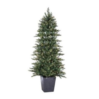 6 ft. Pre Lit Potted Natural Cut Lenox Pine Christmas Tree   Christmas Trees