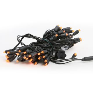 Seasons 4 50 ct. Orange Frost 5 mm LED Lights with Black Wire and 6 in. Spacing   Christmas Lights