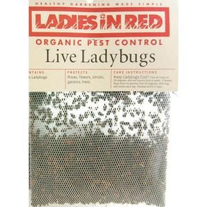 LADIES IN RED 1/2 Pint of Live Ladybugs 121