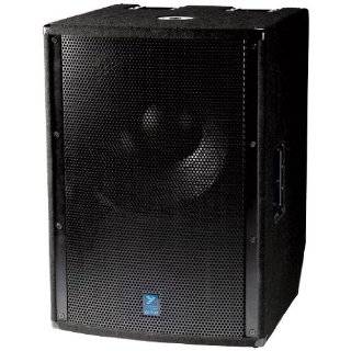    Yorkville Ls808 18 800w Passive Subwoofer Musical Instruments