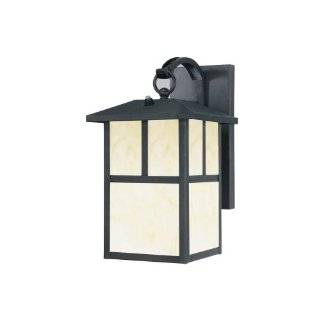 Westinghouse Lighting 6482900 Energy Star Dusk to Dawn 1 Light 