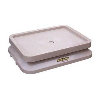  Ant Proof Pet Food Tray in Forrest Green