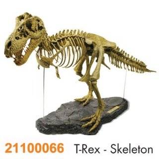  Geoworld T Rex Skull Toys & Games
