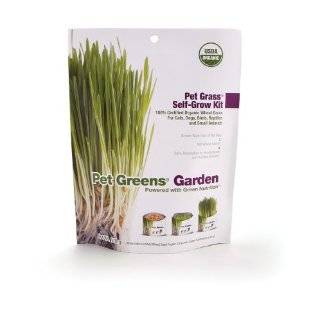  Cat Grass Seeds 15 grams